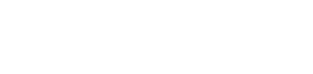 Tricentis partner